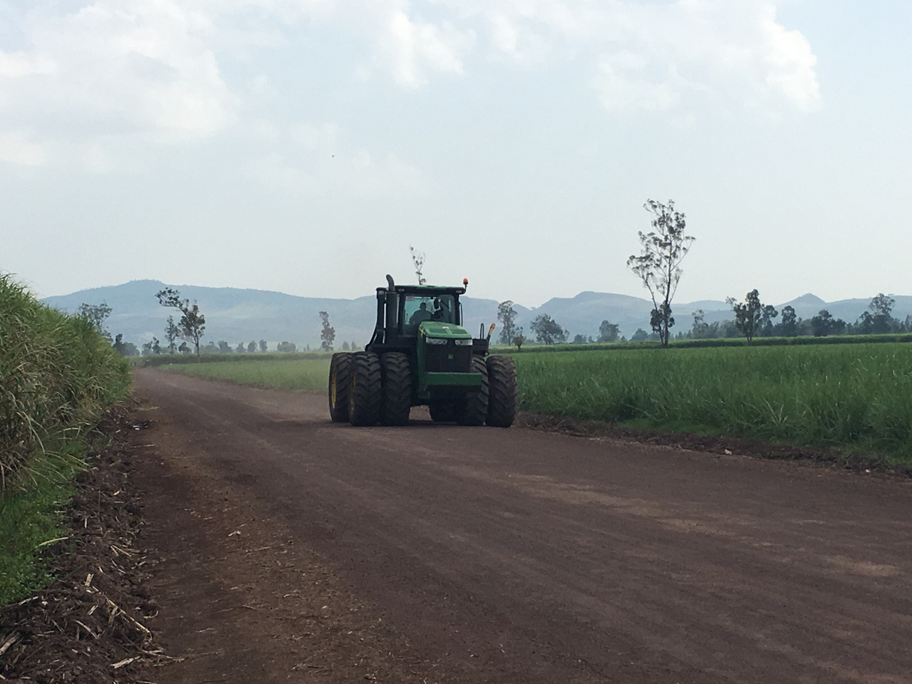 Trekker die door de natuur van Ethiopië rijdt.