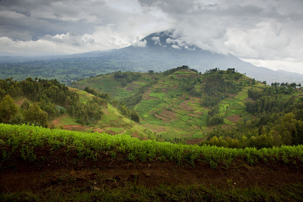 Het landschap in Rwanda.