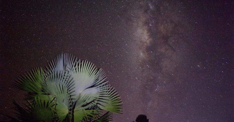 De eerste astrofoto’s🤩