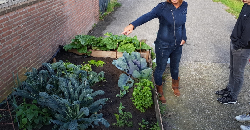 Gea verteld wat over de moestuin