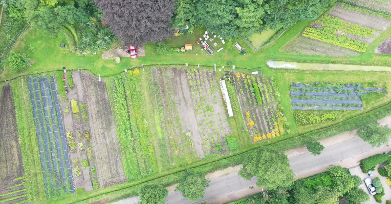 Geen onkruid meer te zien in de tuin