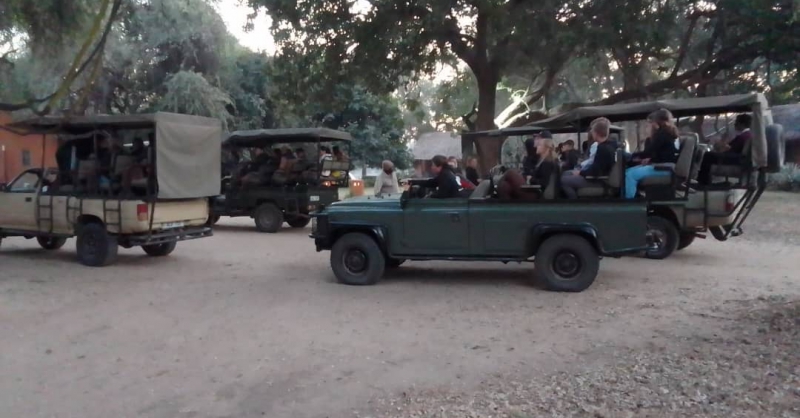 Op safari!