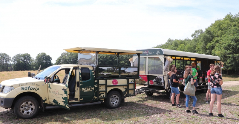 Op safari