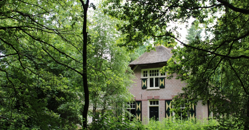 Het vervallen boswachterhuis