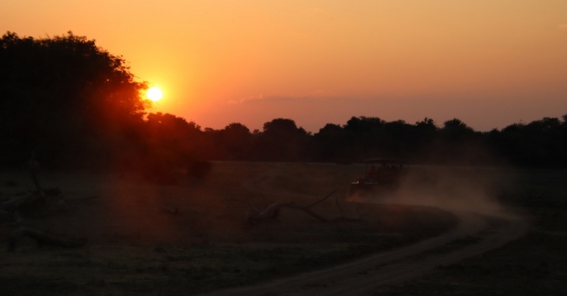 Zonsondergang tijdens de safari 