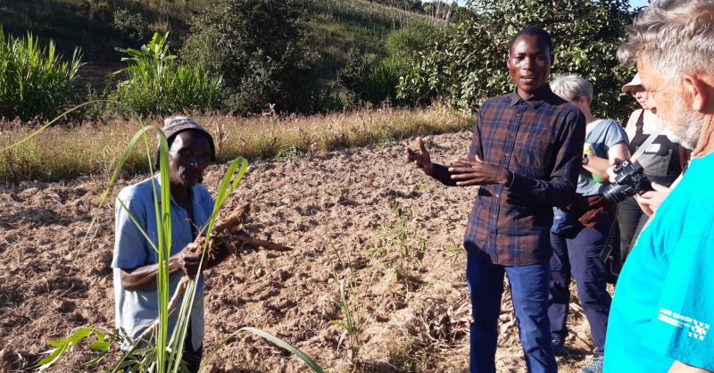 Landbouw in Malawi