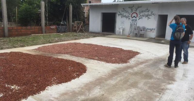 Ecuador | Droogvloer in cacaocentrum La Compuerta