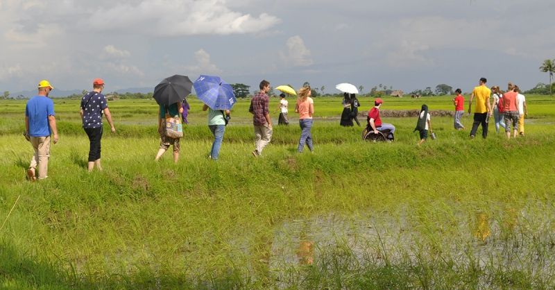 Zondagmiddagwandeling door een rijstveld