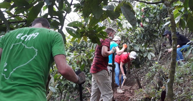 Tussen de cacao