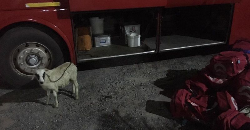 Ook deze passagier is in Accra aangekomen