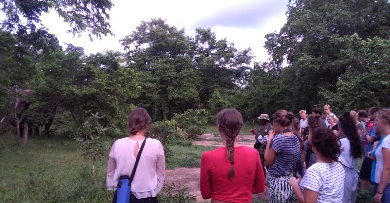 Op safari!