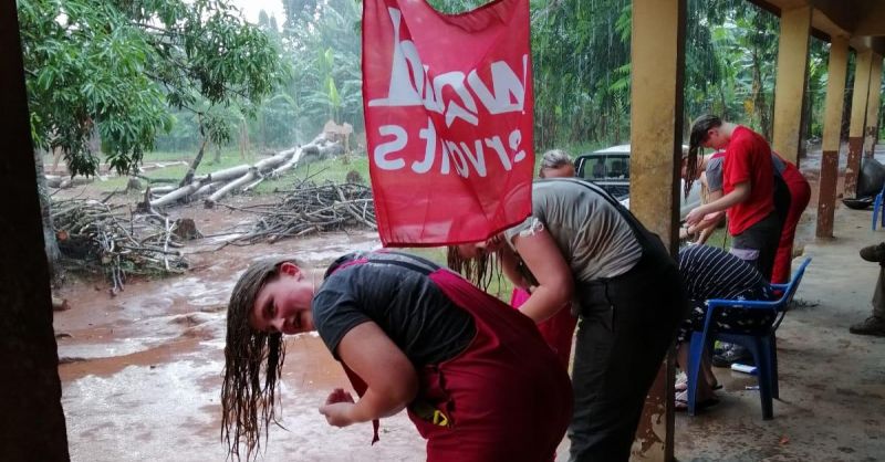 Haren wassen in de regen