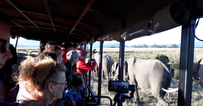 Op safari!