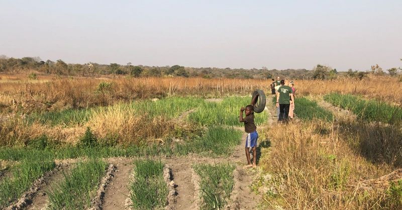 Lopend op weg naar één van de families