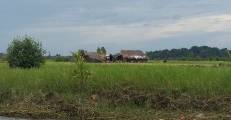Eiland