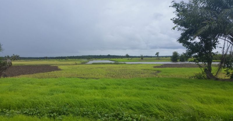 Eiland