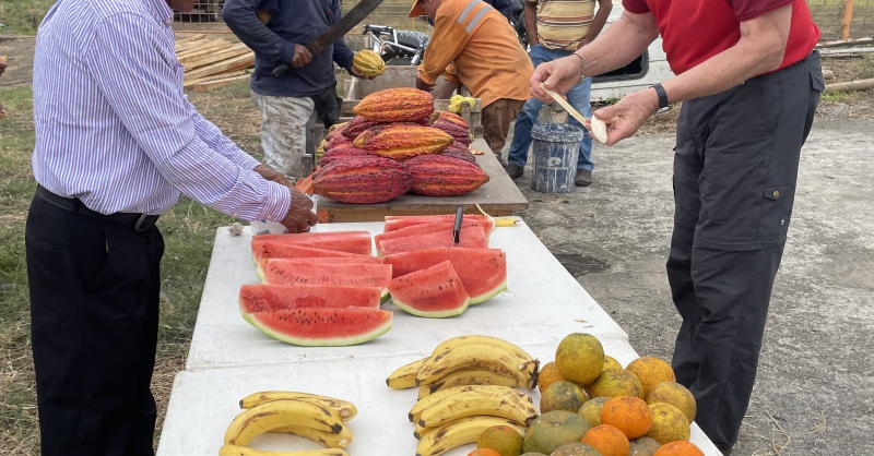 Fruit voor de gehele groep