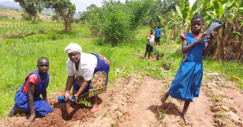 Een vrouw uit de Mother group plant een boom