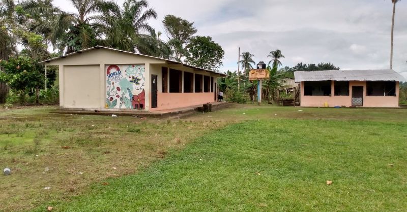 Overview of schoolyard