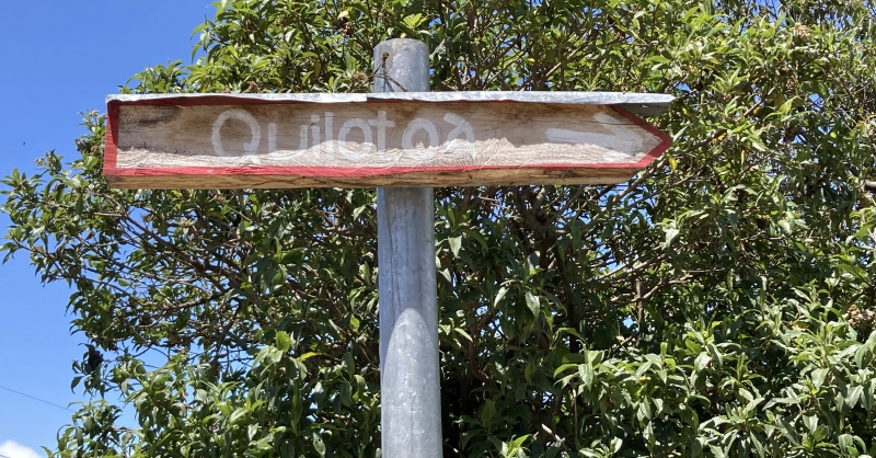 Wandelpad
