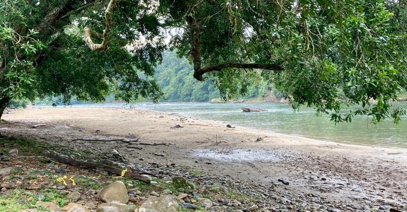 Het strand aan de Rio Napo