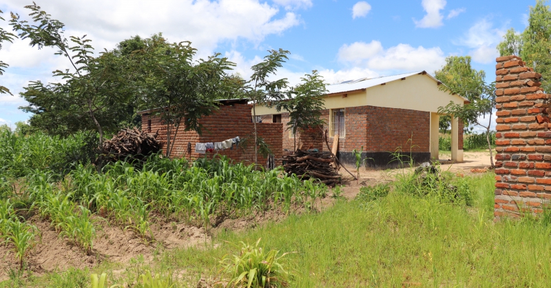 Back view of the house and kitchen