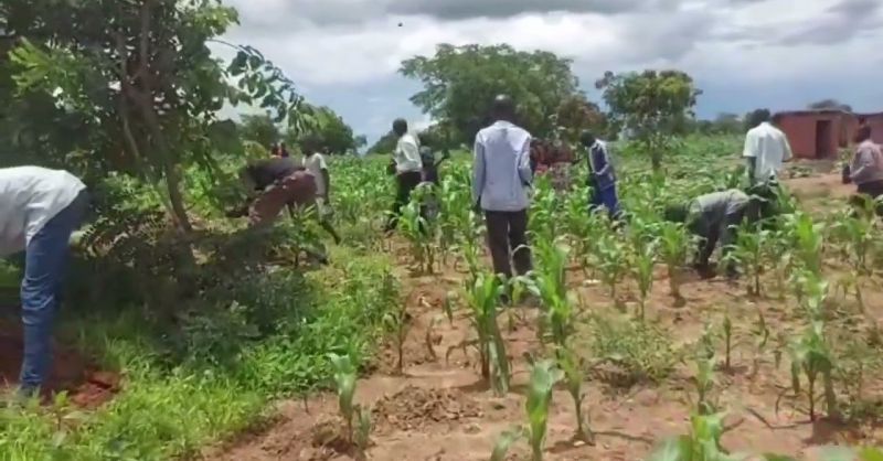 Bomenplanten in Ndatuwa