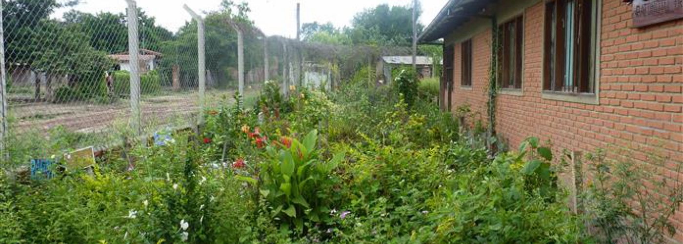 Leerlingen hebben een eigen moestuintje