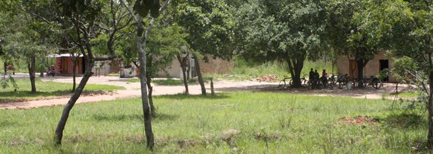 Omgeving