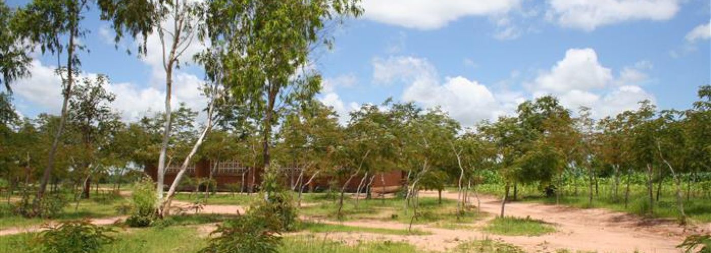School terrein met school op de achtergrond