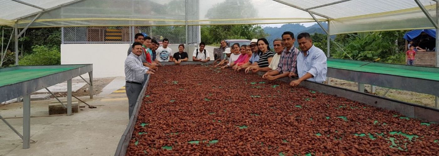Trotse medewerkes van het cacaocentrum