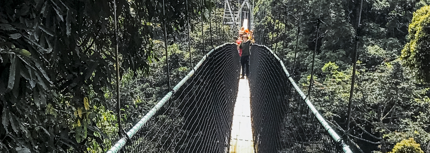 Avonturieren in de jungle