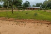 Het schoolterrein met op de voorgrond net geplante bomen