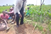 Primary Education Advisor 