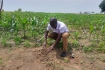 Mussa Nyirenda (projectcoördinator)