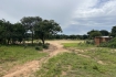 Voetbelveld