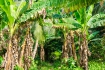 Prachtige groene omgeving