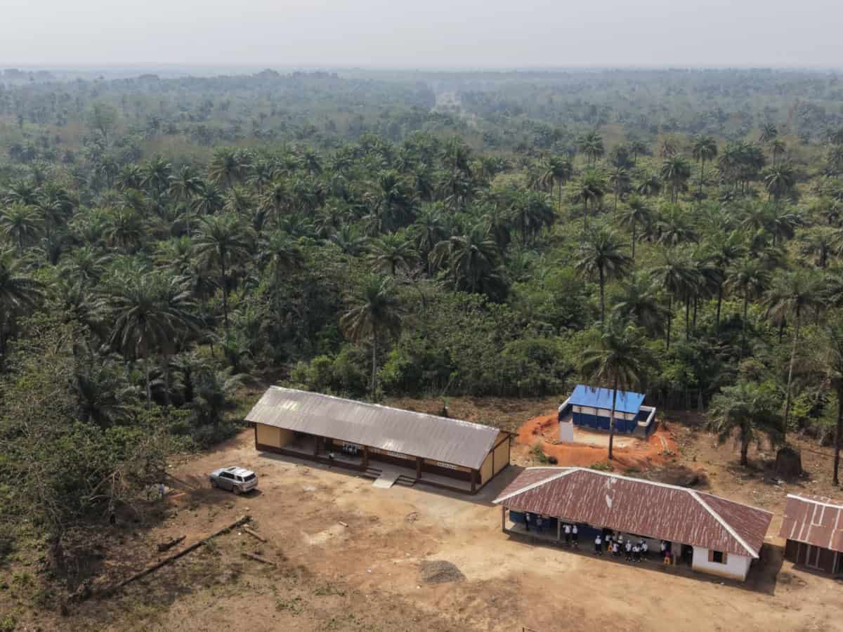 Tropisch bos met schoolgebouw en huis, omgeven door palmbomen.
