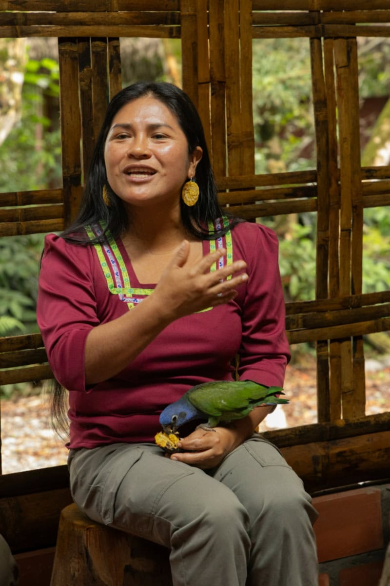 Vrouw met papegaai in Sinchi Warmi gemeenschapsruimte, Bolivia.